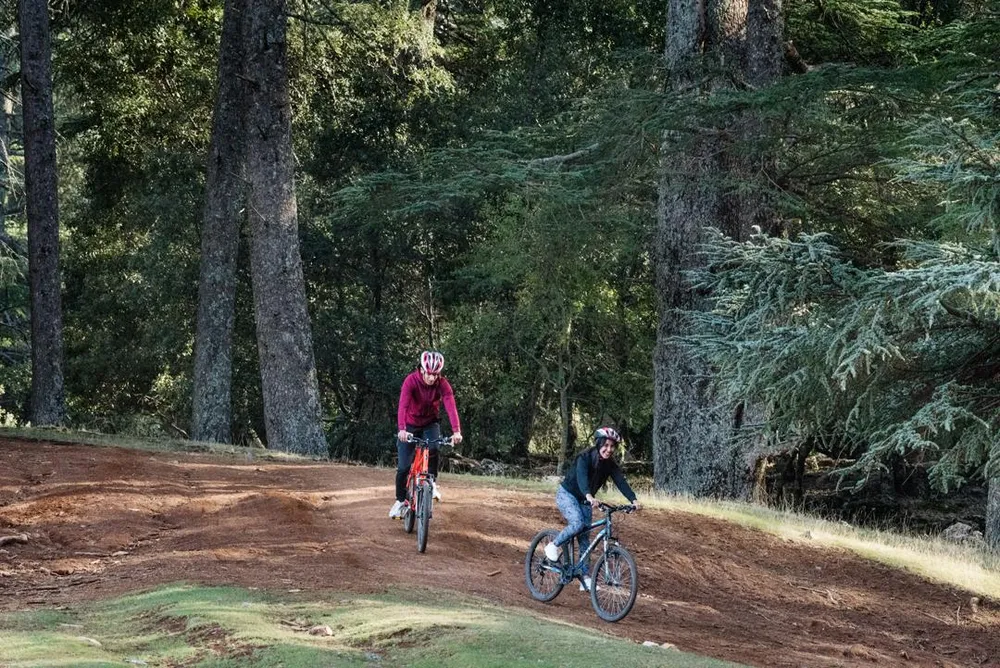 Deux personnes font du vélo sur un chemin forestier entouré d'arbres et de végétation