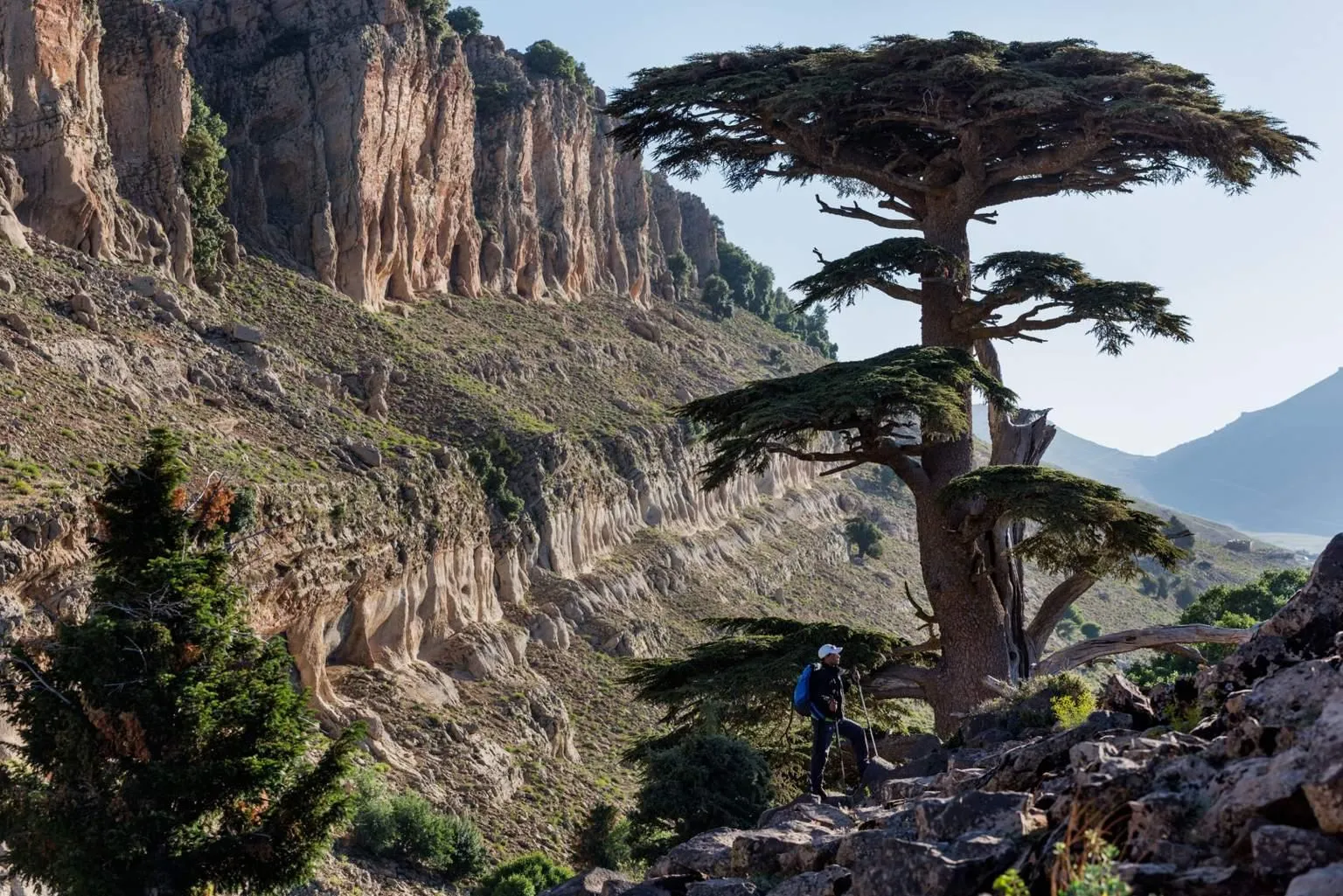Randonneur équipé de bâtons de marche sur un sentier de montagne escarpé entouré d'arbres et de falaises rocheuses