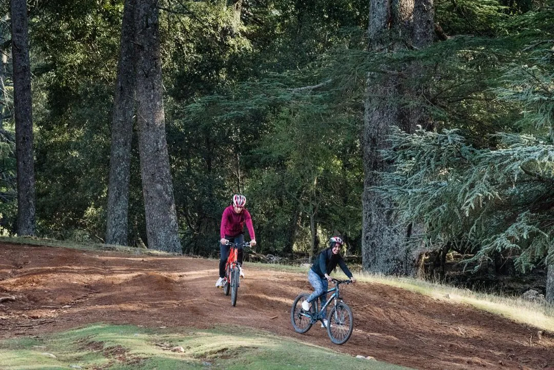 Deux personnes font du vélo sur un chemin forestier entouré d'arbres et de végétation