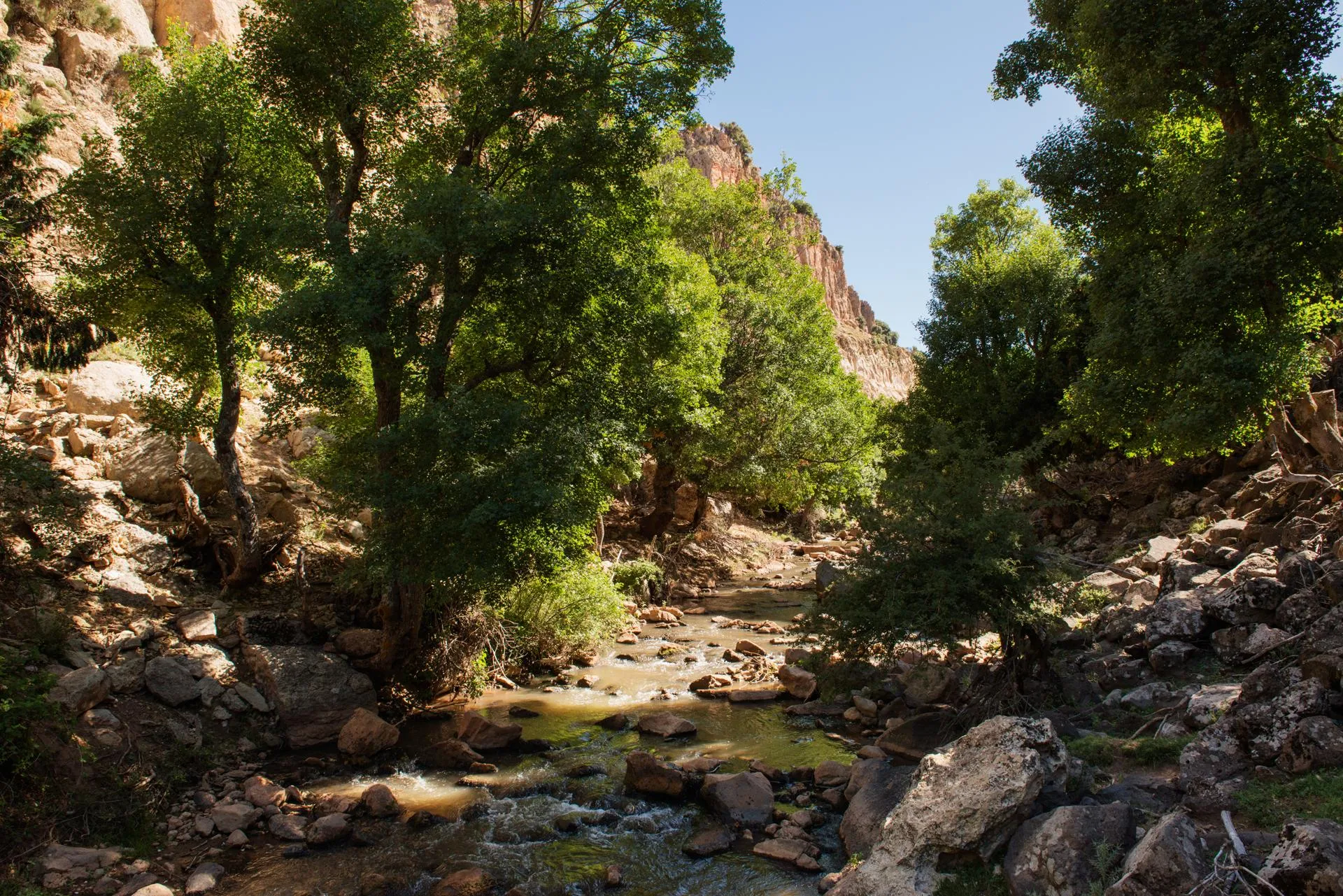 Un ruisseau serpente entre des rochers et des arbres verts dans un canyon rocheux sous un ciel bleu