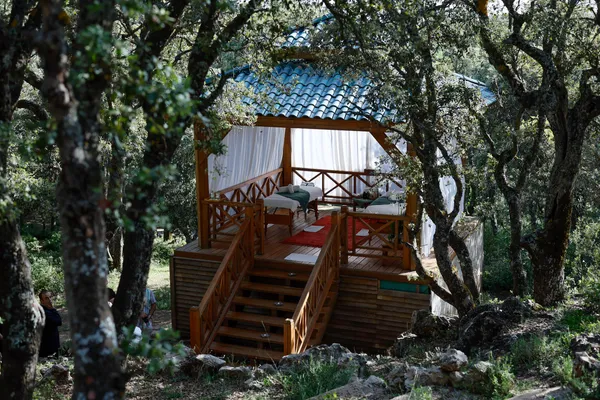 Une cabane en bois avec un lit et des coussins est située dans une forêt, entourée d'arbres et accessible par un escalier